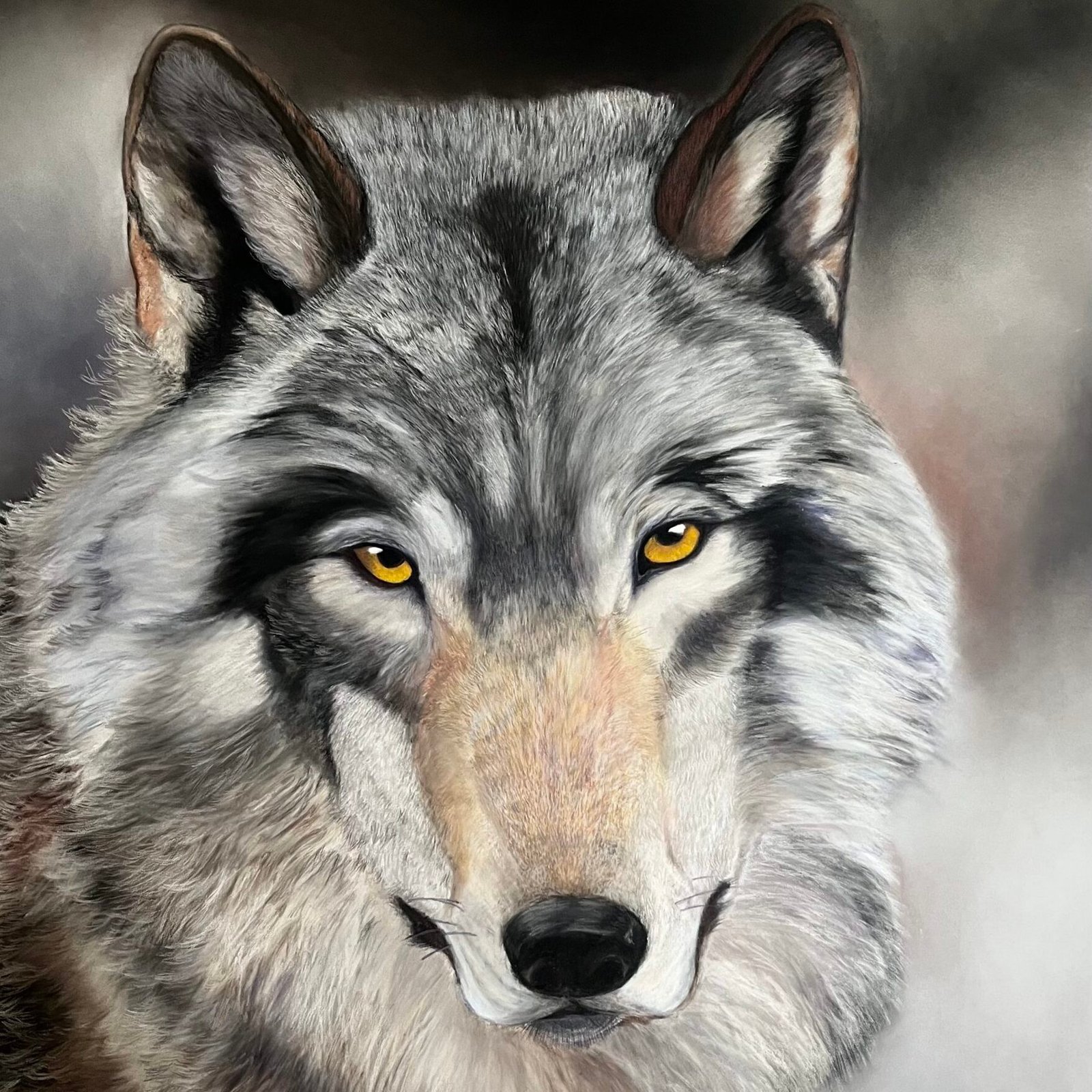 Kulka le Loup
